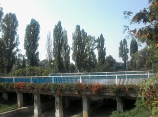 Біля ПАДІЮНу в Ужгороді зацвів "Квітучий міст"