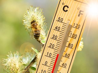 Погода на березень 2026 року в Україні