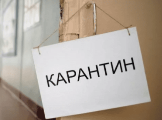 Відомо, в яких районах Закарпаття найчастіше порушували карантин