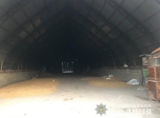 На Мукачівщині чоловік із неповнолітнім сином скоїли злочин