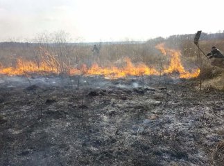 У Мукачеві на Червоній горі горіла надвірна споруда, а у Павшині – суха трава та чагарники