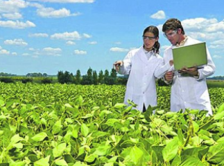 Закарпатських молодих фахівців заманюватимуть у село