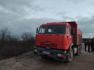 В області викрили факти незаконної вирубки дерев та видобутку корисних копалин