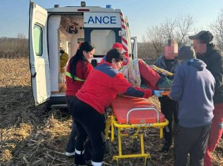 У лісі на Мукачівщині на чоловіка впало дерево: медики надали екстрену допомогу