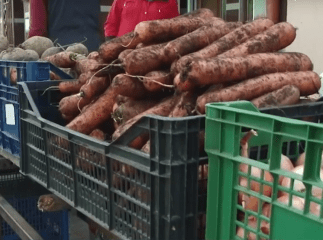 «Борщовий набір» на ринках Мукачева: що подорожчає восени, а що впаде в ціні