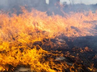Закарпатців просять бути обачними: синоптики на 9 серпня оголосили попередження
