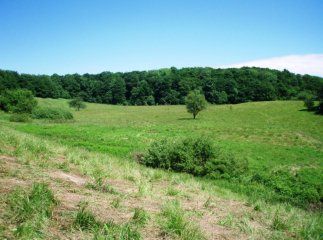 "Бермудський трикутник" виявили на Закарпатті (ВІДЕО)