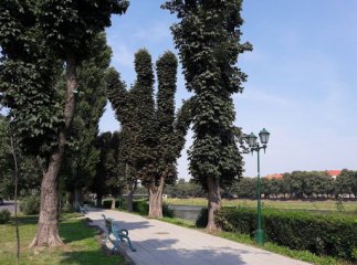 Жінку, яка днями зникла в області, знайшли