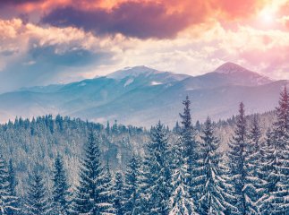 Прогноз погоди на грудень Якою буде погода на грудень 2023 року