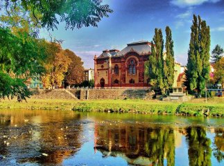 Депутати Ужгородської міськради визначать нових почесних громадян міста