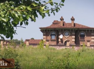 Лісові князьки: маєтки ділків, які причетні до вирубки лісів, сягають королівського розмаху