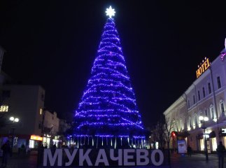 Головну ялинку Мукачева запалюватимуть онлайн