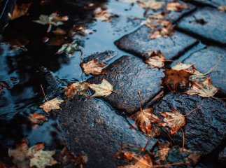 Частину області накриє осіння негода: чи довго дощитиме