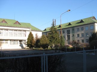 Школи та дитсадки Мукачева шляхом злиття реорганізують у НВК