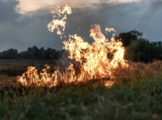 Жінка отримала опіки, намагаючись загасити пожежу сухої трави