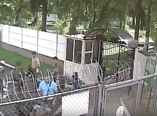 Держприкордонслужба оприлюднила відео, як спецпризначенці у масках вриваються у Чопський прикордонний загін