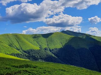 АРМА ухвалило остаточне рішення щодо продажу Льовочкіну землі на Боржаві