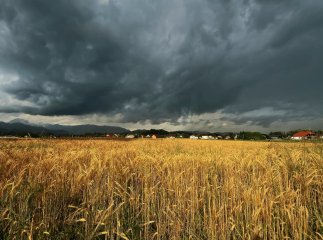Синоптики попереджають про грози і короткочасні дощі
