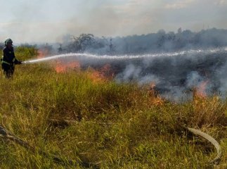 Паління сухої трави ледь не призвело до трагедії в одному з сіл Закарпаття