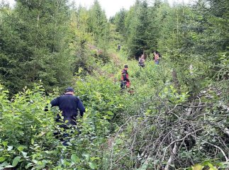 На Мукачівщині розшукують чоловіка, який зник у лісі