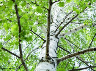 26 квітня 2024: яке сьогодні свято, День ангела і прикмети