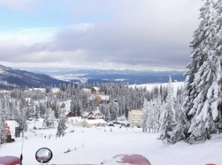 Новий рік 2026 на Драгобраті: за яку ціну можна винайняти номер на ніч