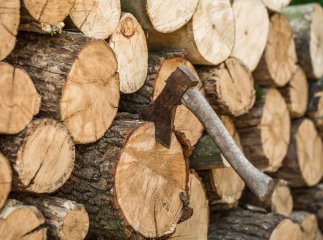 Коли прийдуть гроші на дрова та скільки тисяч виділили