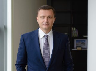 АРМА продало Льовочкіну 460 гектарів землі у Закарпатській області всього по 2000 гривень за сотку