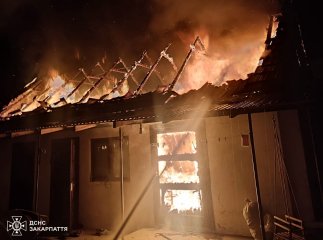 Вночі під час пожежі на Мукачівщині загинуло 400 птахів