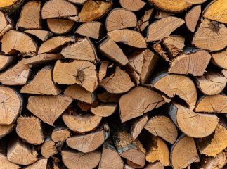 Які дрова найкраще підходять для смаження шашлика, а яких краще уникати