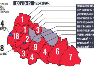 Хворих на коронавірус у Закарпатті вже 110: найбільше в Мукачеві та Ужгороді