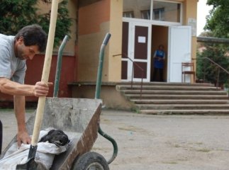По Ужгороду лежать десятки мертвих собак