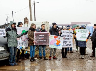 Партія зоозахисників Нідерландів засудила фестиваль різників у Гечі