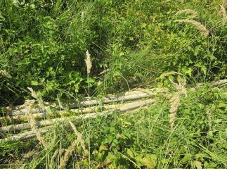 19-річного ужгородця спіймали на крадіжці металу