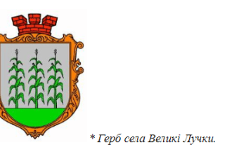 СТОВ «Агро-Лучки» в тандемі із місцевою владою Великих Лучок  демонструє приклад ефективної співпраці