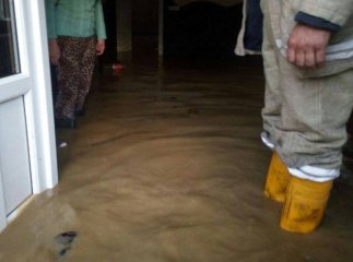 На Закарпатті почало підтоплювати будинки