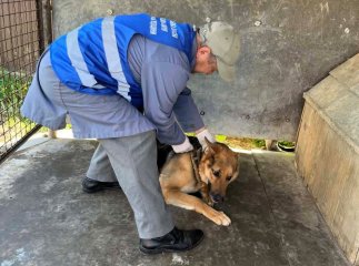В одній з громад Мукачівщини організували подворові обходи: відома причина