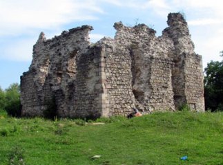 Люди рятують унікальний замок Тамплієрів, яких у світі залишилось тільки два: у Закарпатті і у Франції (ВІДЕО)