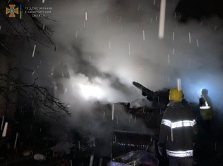 Загинула худоба: на Рахівщині вночі вирувала пожежа