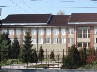 Водій на Мерседесі збив студентку Хустського медичного коледжу