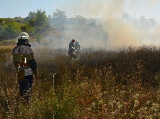Закарпаття страждає від пожеж