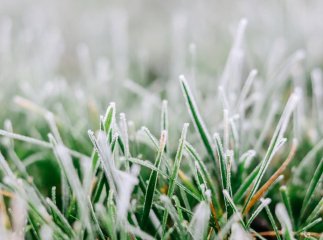 В області оголошено штормове попередження через заморозки
