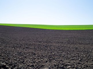 Прокурори вимагають повернути 12 гектарів землі громаді на Берегівщині