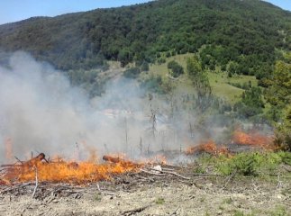 У Воловці рятувальники та лісники гасили полум’я в лісовому угідді