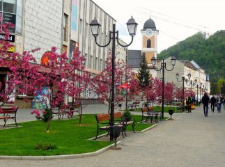У Хустській громаді перейменують 60 вулиць