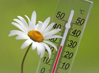 Коли у червні очікувати потепління до +30 градусів: погода зміниться найближчими днями