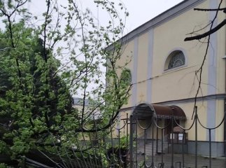 У Мукачеві шквальний вітер повалив дерева
