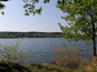Законність приватизації ділянки з озером на "Шахті" під питанням