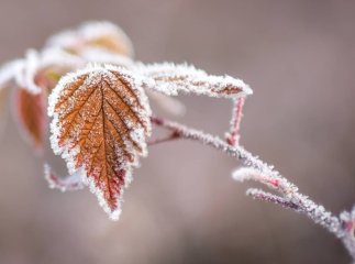 На область насуваються морози: коли зміниться погода та можливий мокрий сніг