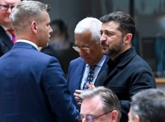 Мадяр анонсував зустріч із Зеленським та спільну поїздку на Закарпаття
